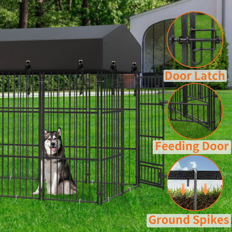 BingoPaw Outdoor Covered Dog Pen & Reviews | Wayfair